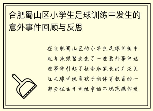 合肥蜀山区小学生足球训练中发生的意外事件回顾与反思