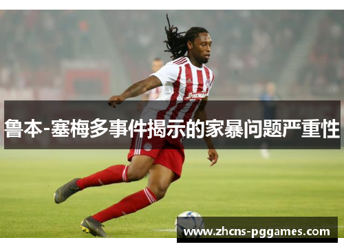 鲁本-塞梅多事件揭示的家暴问题严重性