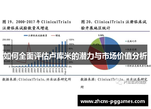 如何全面评估卢库米的潜力与市场价值分析