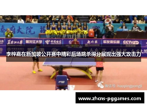 李梓嘉在新加坡公开赛中精彩后场跳杀得分展现出强大攻击力 李梓嘉在新加坡公开赛中精彩后场跳杀得分展现出强大攻击力